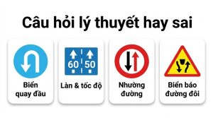 Câu hỏi lý thuyết sát hạch hay sai